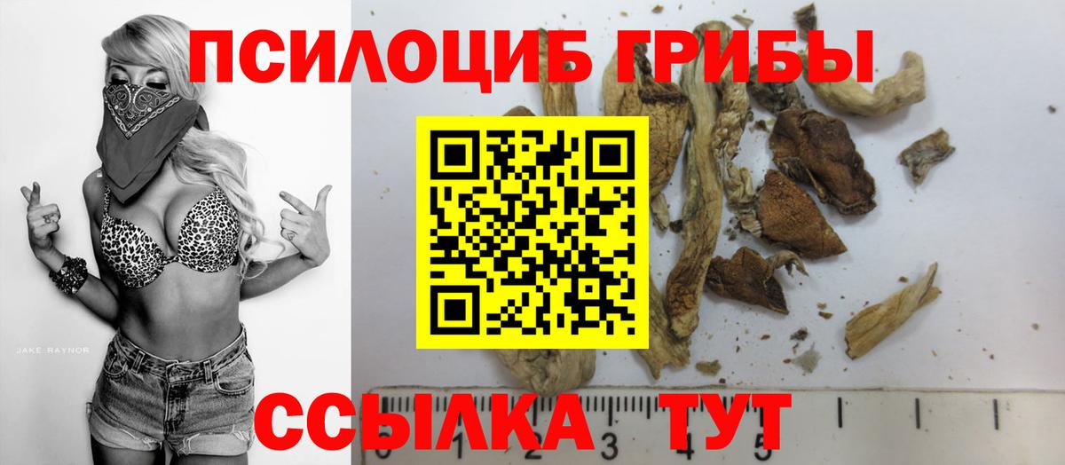 Галлюциногенные грибы Psilocybine cubensis  Галлюциногенные грибы MAGIC MUSHROOMS  Свободный  Вход с VPN 
